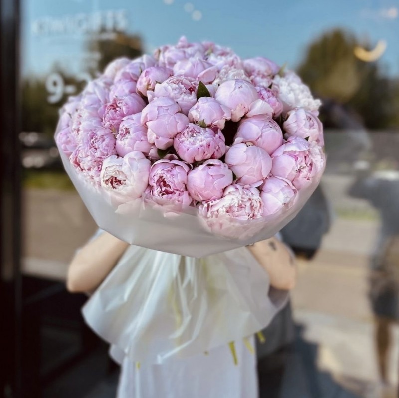 Букет из 51 пиона