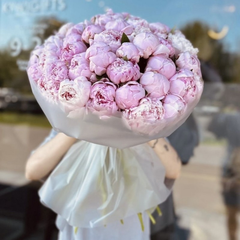 Букет из 51 пиона